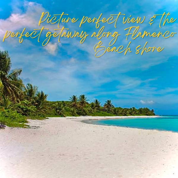 a close up of a beach