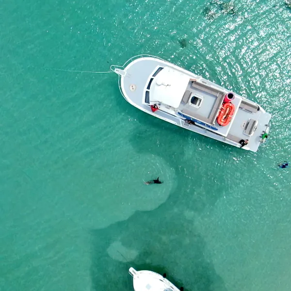 a boat on a body of water