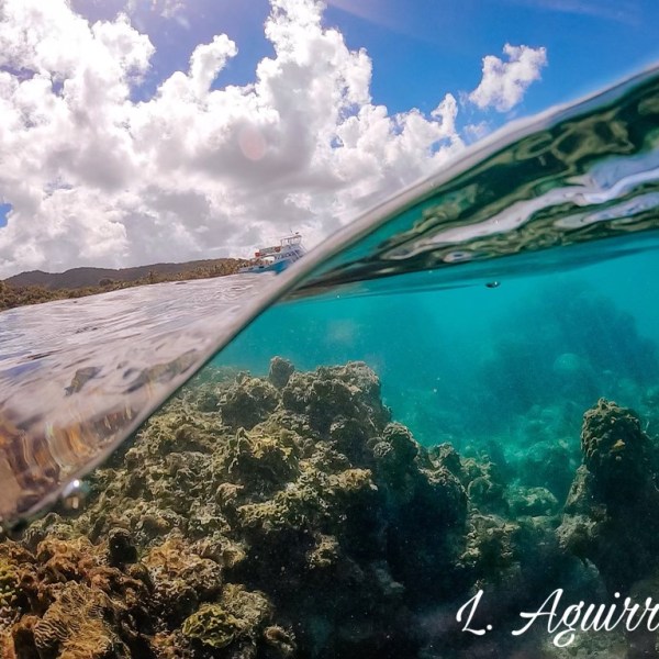 water next to the ocean