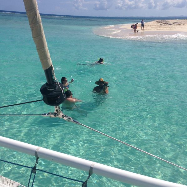 a group of people swimming in a body of water