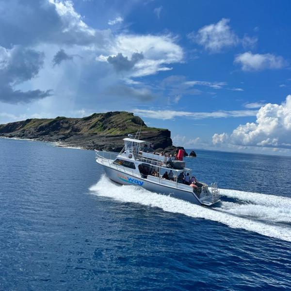 a ship in a body of water