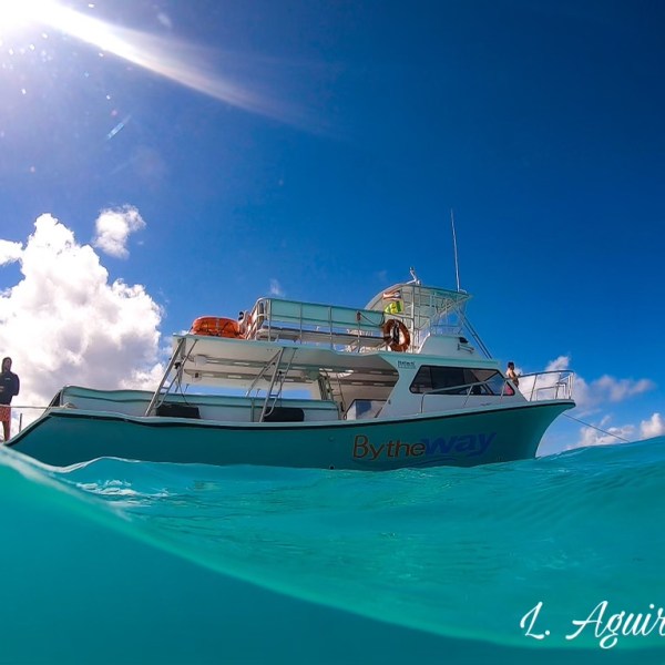 a blue and white boat sitting next to a body of water