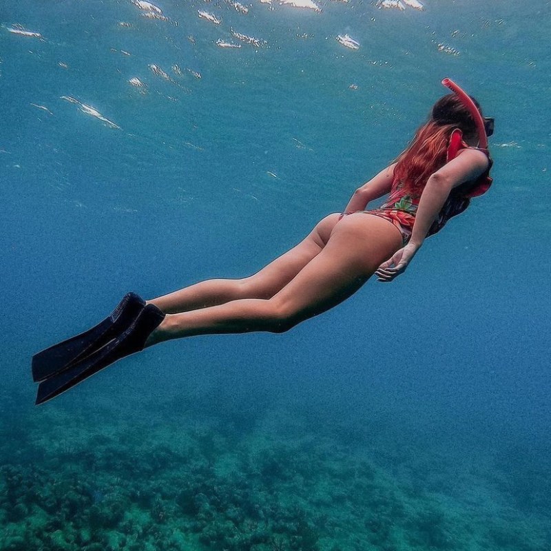 a person swimming in the water