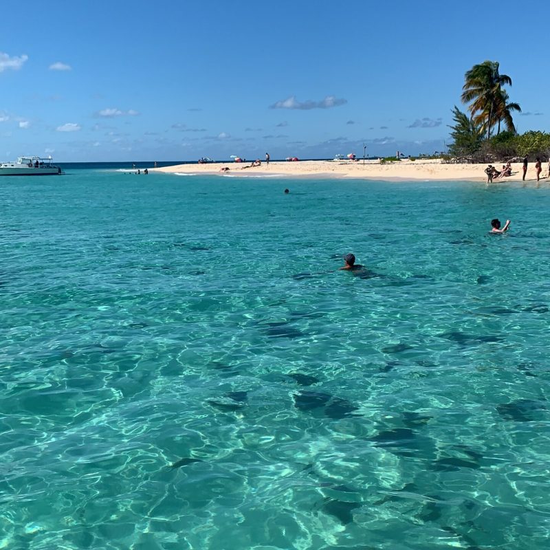 a group of people swimming in a body of water