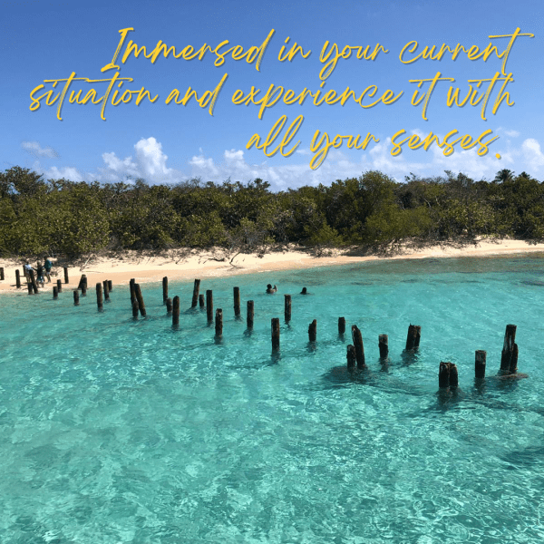 a group of people swimming in a body of water