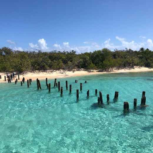 a group of people swimming in a body of water