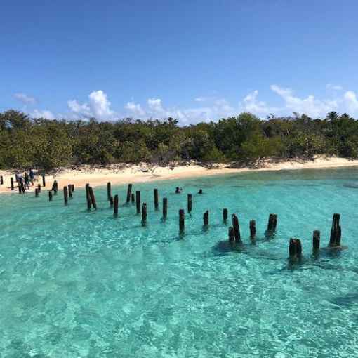 a group of people swimming in a body of water