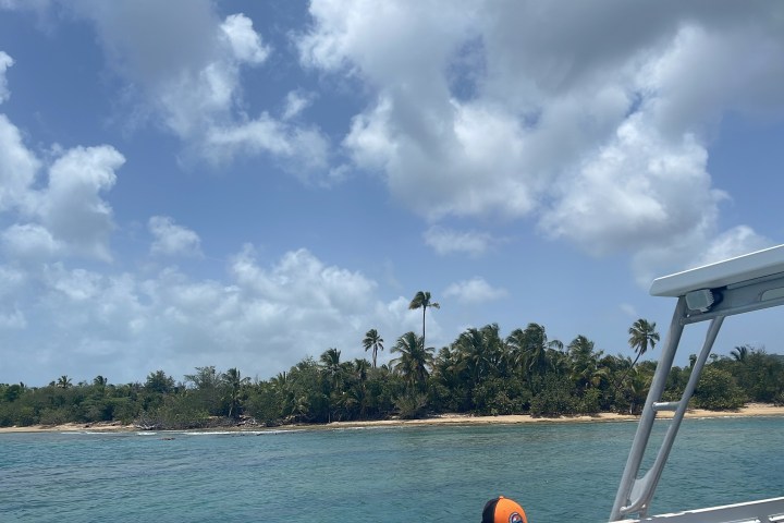 a boat in a large body of water