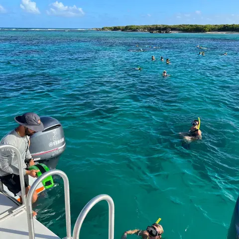 a group of people swimming in a body of water