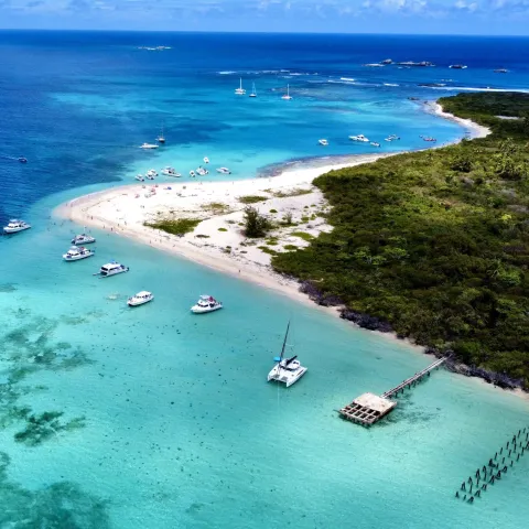 a group of people on a beach near a body of water