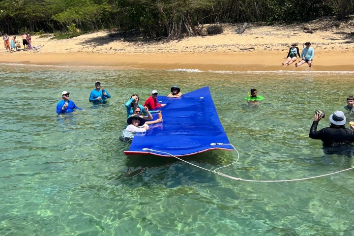 a group of people sitting at a beach