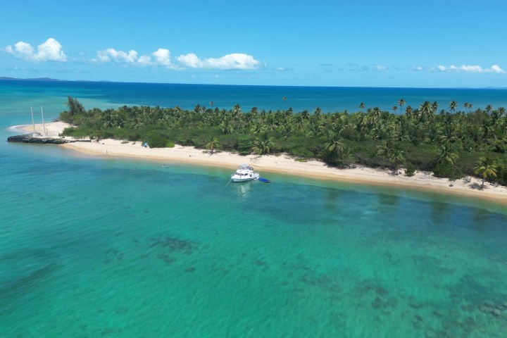 a group of people swimming in a body of water